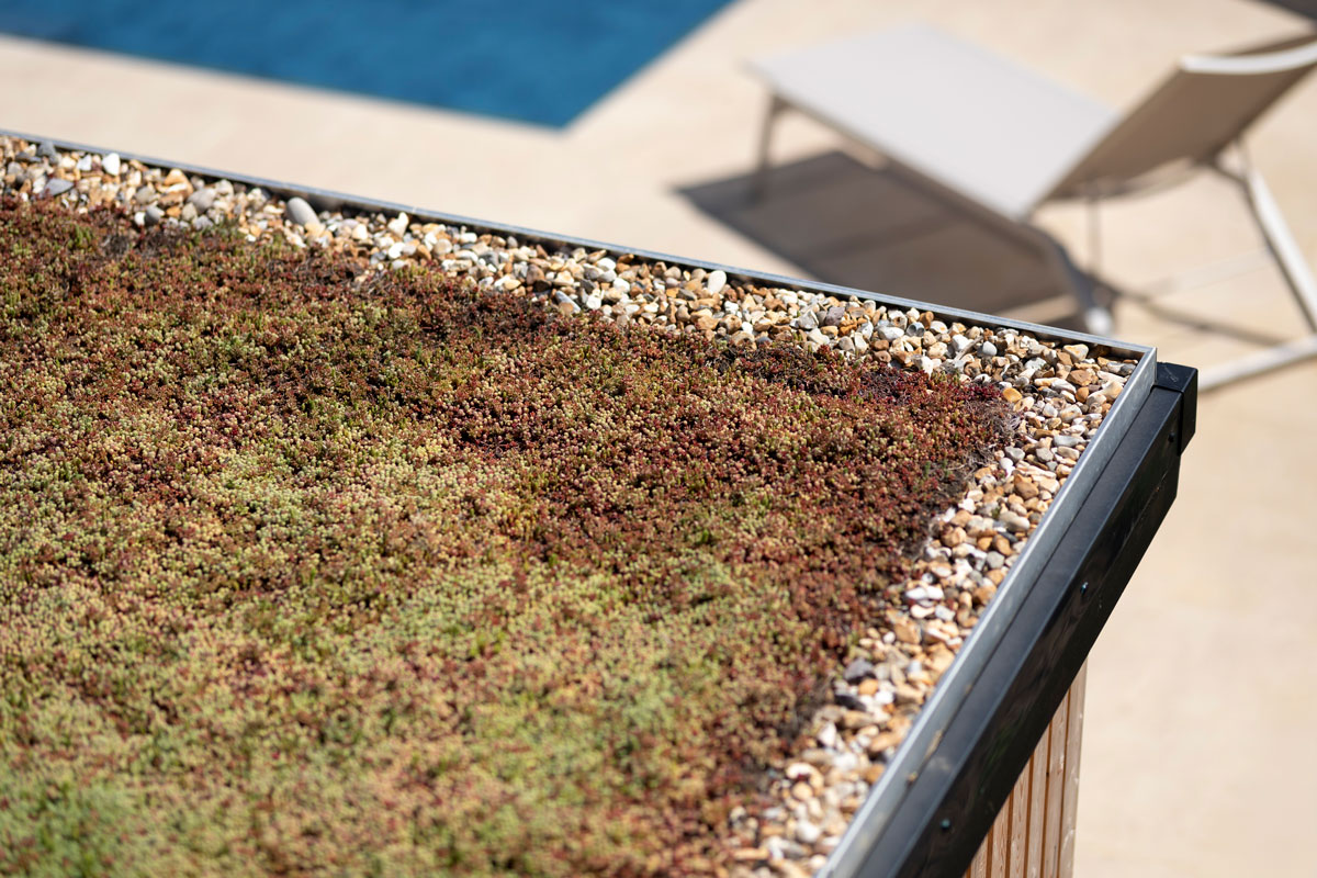grass roof with shingle edge